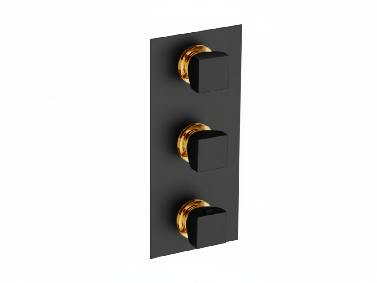 Parte externa termostático ducha 2 funciones WELLNESS_RI01V200 -1